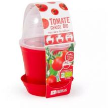 Pot en cloche - Tomate cerise