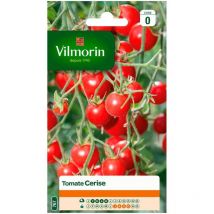 Sachet de graines Tomate cerise Vilmorin 0,2gr