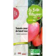 Tomate coeur de boeuf rose 0.12 g