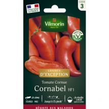 Tomate Cornabel F1 - Graines d'Exception