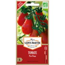 50 graines ab - Tomate Poire Rouge - La Ferme Sainte Marthe