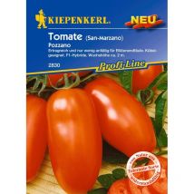Tomate Pozzano Solanum lycopersicum, Inhalt 6 Korn Gemüsesamen - Kiepenkerl