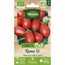 Tomate Roma v.f - bio