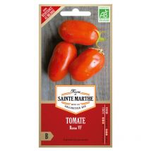 50 graines ab - Tomate Roma vf - La Ferme Sainte Marthe