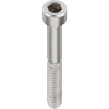 TOOLCRAFT 888750 Zylinderschrauben M4 40 mm Innensechskant DIN 912 Edelstahl A2 1 St.