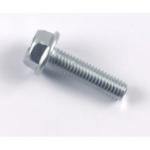 100 vis tête hexagonale a embase crantee 6X25 - 0146-6X25 - Ce produit de marque est neuf. - Topcar