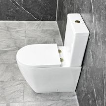 Tornado Flush Toilet with Brushed Brass Flush Button & Hinges Closed Back
