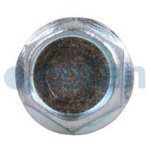 COFAN din-7505a pz m-2,5 x 16 z caja 1000 unid. , Tornillo zincado rosca madera para aglomerado DIN-7505A. Cabeza avellanada con mortaja pozidrive.