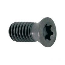 Maier - Tornillo TorX para folleto extraíble, Modelo : Tornillo TorX para folleto extraíble