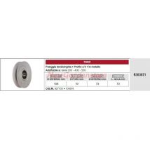 Umlenkrolle Rasentraktor Rasenmäher 300 400 500 R303871 - Toro