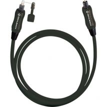 Toslink Audio Anschlusskabel [1x Toslink-Stecker (odt) - 1x Toslink-Stecker (odt)] 6.00 m Schwarz Oe