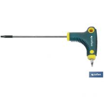 Tournevis en t Torx 20x100