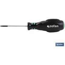 Tournevis Torx 15x80