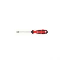 Tournevis Torx T25 6x100 aimanté