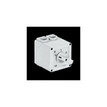 Tr-Cvt (Commutatore Velocita'Trif.) ( Vortice cod. 0000022910 )