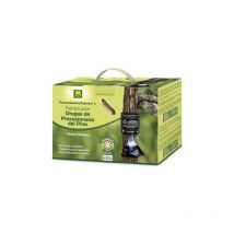 Trampa Procesionaria Del Pino - 231640