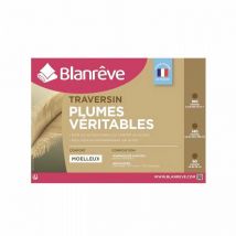 Traversin Plumes 140 cm - Blanreve