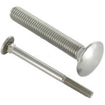 TRCC JAPY tête ronde collet carré Inox A2 M10X60-1 piece