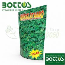 Trébol enano - 100 g de semillas de césped