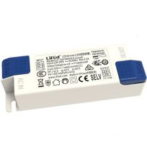 Treiber Lifud Jack-Anschluss Ausgang 33-40V dc 40W Anti-Flicker LF-GIF040YA ii 1000H 40 w