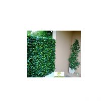 Treillis feuilles de troene 1,00mx2m