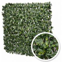 Atout Loisir - Treillis extensible feuilles de laurier amande - Long 5 m, Hauteur 3 m