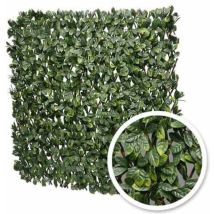 Atout Loisir - Treillis extensible feuilles de laurier amande - Long 13 m, Hauteur 2 m