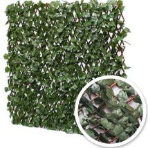 James Grass - Treillis extensible feuilles de lierre 1 m x 2 m - Fin de série