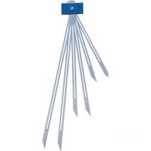 Treppenspinne mit sechs Tastlehren - Hedue