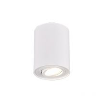 Cookie Modern Surface Mounted Downlight White Matt - Trio
