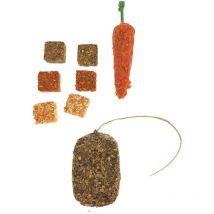 Trio friandises botte herbe, carotte, biscuit aux légumes, rongeur Animallparadise