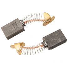 Spazzola al carbonio TSPL152