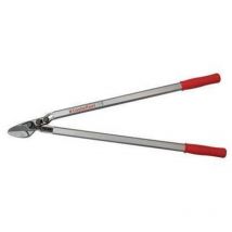 Castellari - troncarami a battuta potatore 80