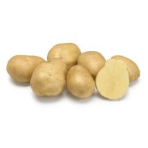 Trésor 100 Plants de pomme de terre