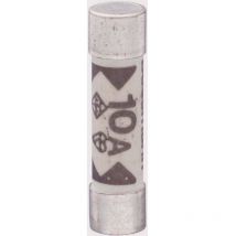 1208598 6FF-1 Fusibile per multimetri (ø x l) 6.35 mm x 31.8 mm 10 a 600 v Rapido Contenuto 1 pz. - Tru Components