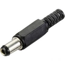 Tru Components - Schwachstromverbinder Stecker, gerade 5.5 mm 2.5 mm 1 St.