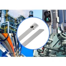 Tru Components - TC-12656568 Serre-câbles en acier 200 mm 7.9 mm aisi 316 100 pc(s)