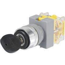 Conrad - Commutateur à clé tru components 704509 Y090-A-20Y/31 250 v/ac 5 a 1 x On/Off/On 2 x 45 ° IP40