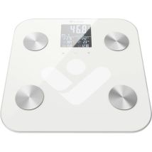Truelife Fitscale W6 Bt Personenwaage Digital Wägebereich (max.)=180 Kg Weiß, Grau Mit Bluetooth