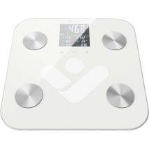 Truelife - FitScale W6 bt Pèse-personne numérique Plage de pesée (max.)=180 kg blanc, gris avec Bluetooth Y299353
