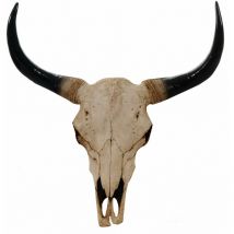 Décoshop26 - Tête de mort décorative 64cm trophée tête de taureau longhorn polyrésine intérieur/extérieur naturel 040002841