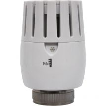 Somatherm - Tête thermostatique à élément sensible liquide VT0,5 - Filetage M30x1,5