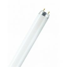 4050300518015 Tube fluo T8 30W/865 - Osram