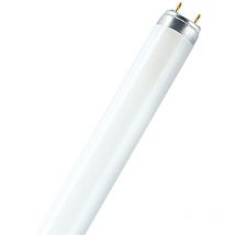 Tube Fluorescent Traditionnel Ledvance/ Osram T8 G13 58W 2850Lm k