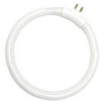 EDM - Tube fluorescent circulaire T4 12W 138mm G5 6400K lb 620946