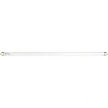 Tube fluo blanc ft5 8w 840 tu