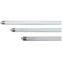 Tube Fluorescent 8w (lumière Actinique) Désinsectiseur Modèle: T5 EDM