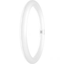 Greenice - Tube led T9 Ledvance G10q 18,3W 2000Lm 3000K 110o IP20