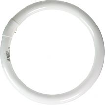 Tubo fluorescente circular 32W.6500K