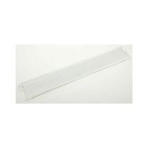 Tulipa campana Orpan C8 Pando 368x59